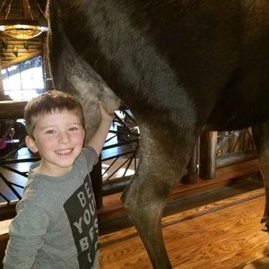 Meet your Posher, Josh